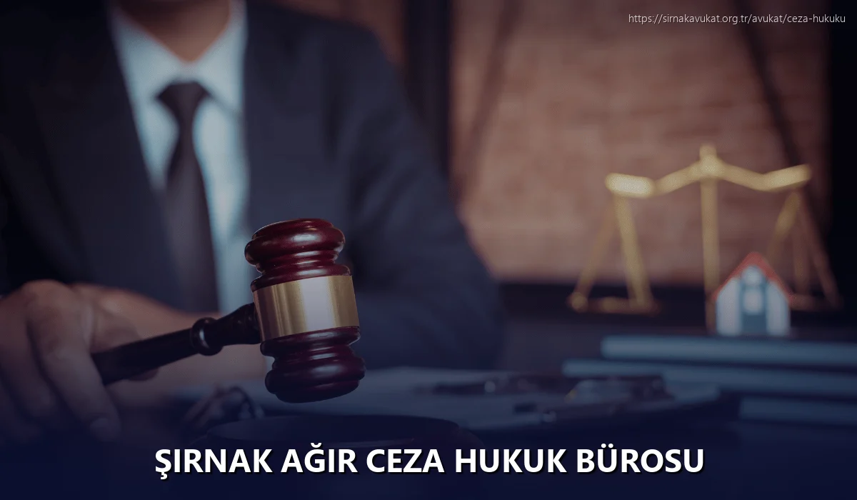 Şırnak Ağır Ceza Hukuk Bürosu