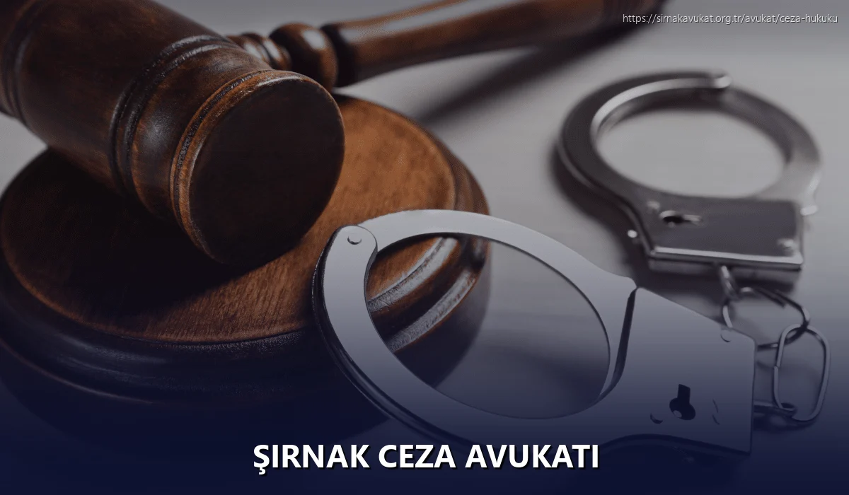 Şırnak Ceza Avukatı