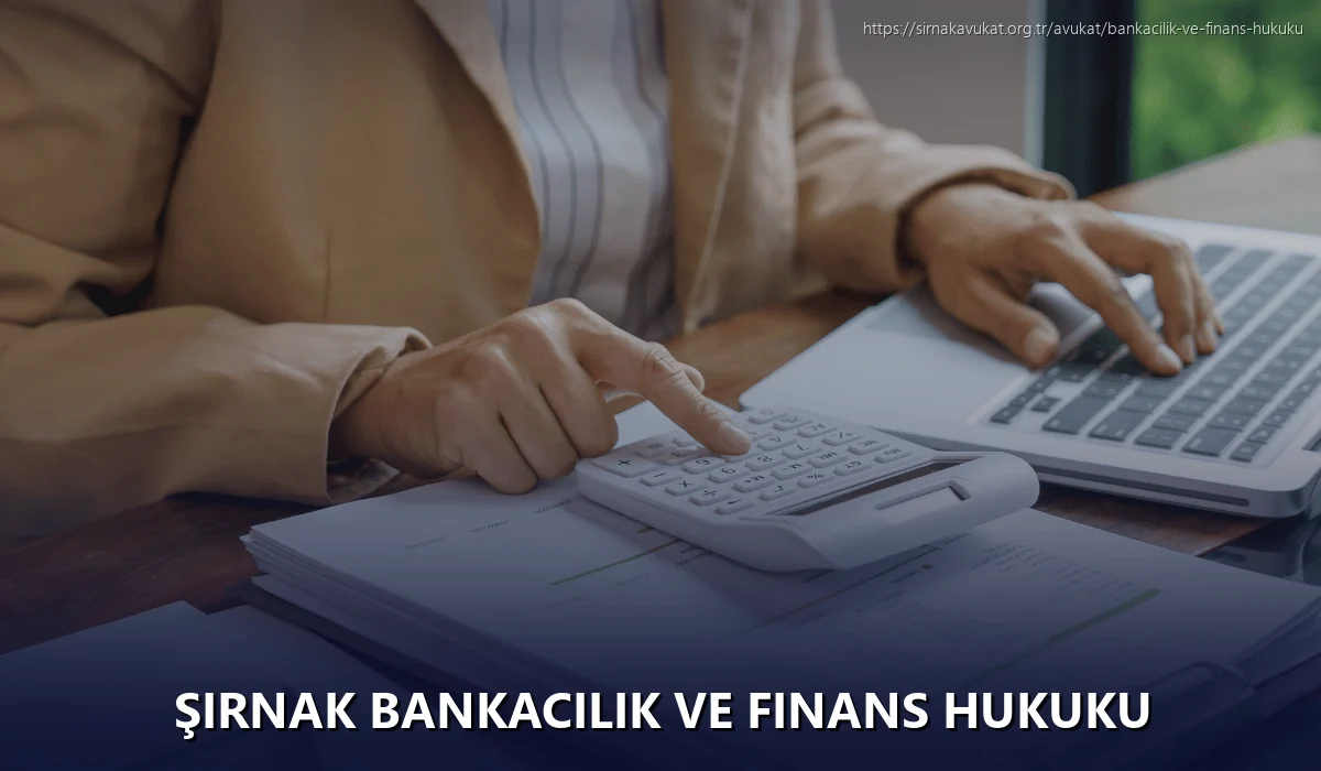 Şırnak Bankacılık ve Finans Hukuku