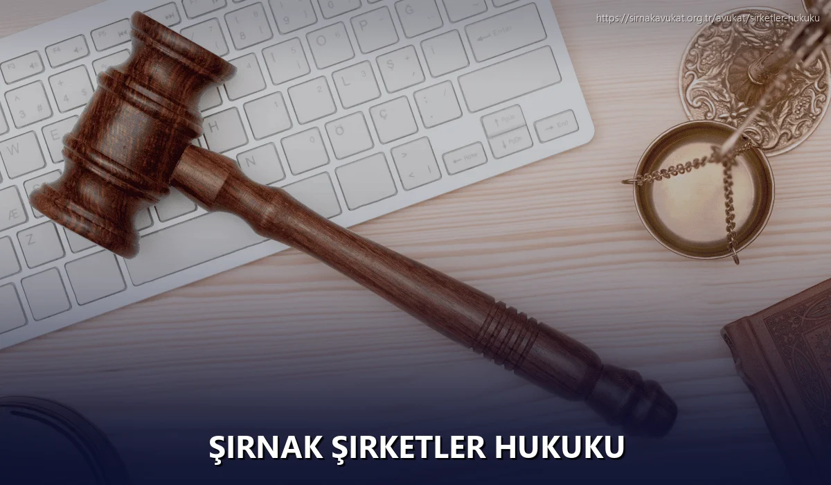 Şırnak Şirketler Hukuku